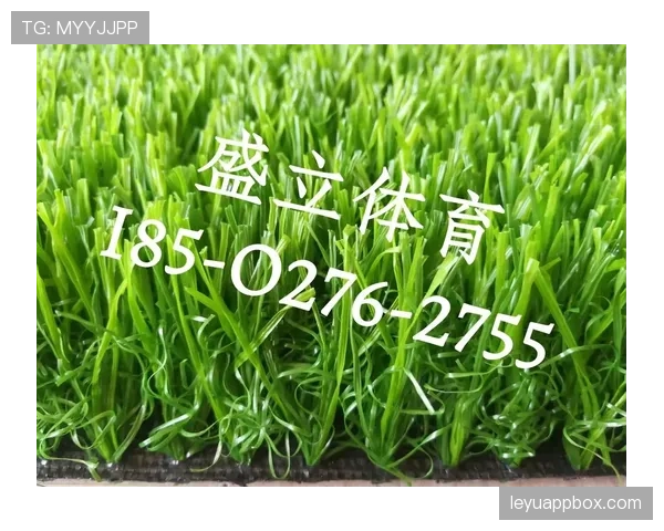 人工草场对足球比赛规则有哪些特别要求？详细拆解讲清楚